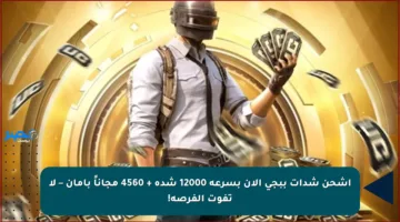 اشحن شدات ببجي الآن بسرعة 12000 شدة + 4560 مجاناً بأمان – لا تفوت الفرصة!